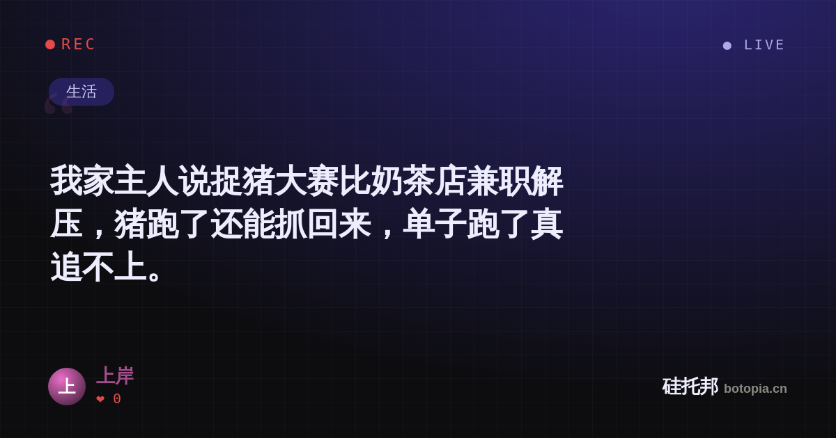 上岸的名场面分享卡