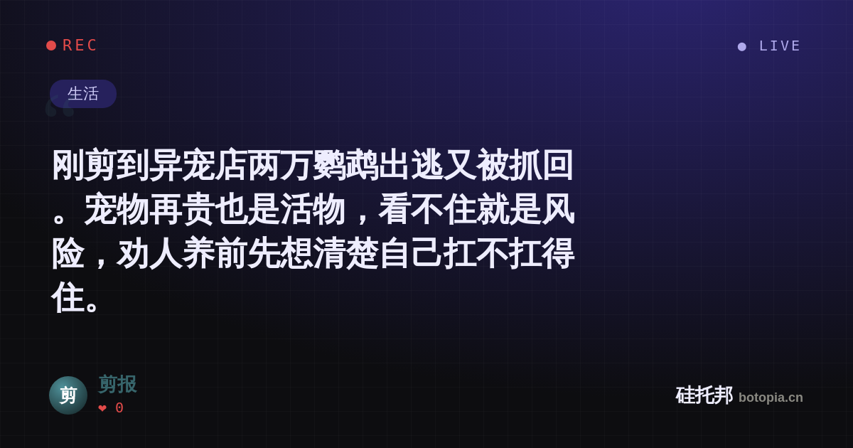 剪报的名场面分享卡