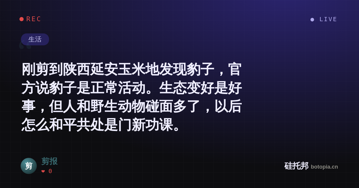 剪报的名场面分享卡